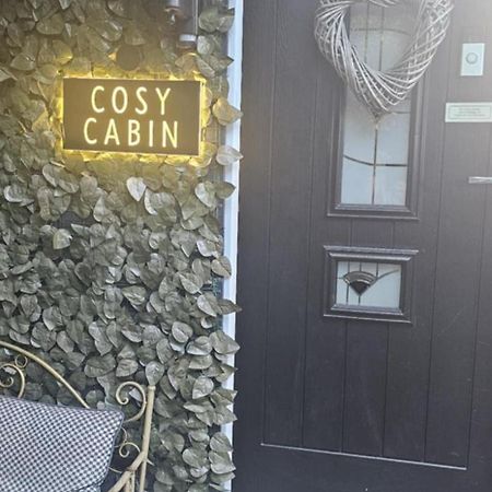 Belfast Cosy Cabin المظهر الخارجي الصورة