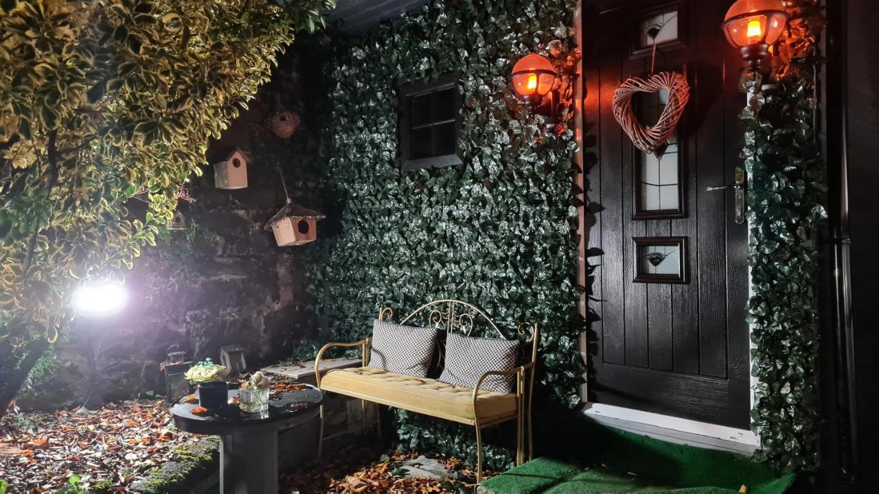Belfast Cosy Cabin المظهر الخارجي الصورة